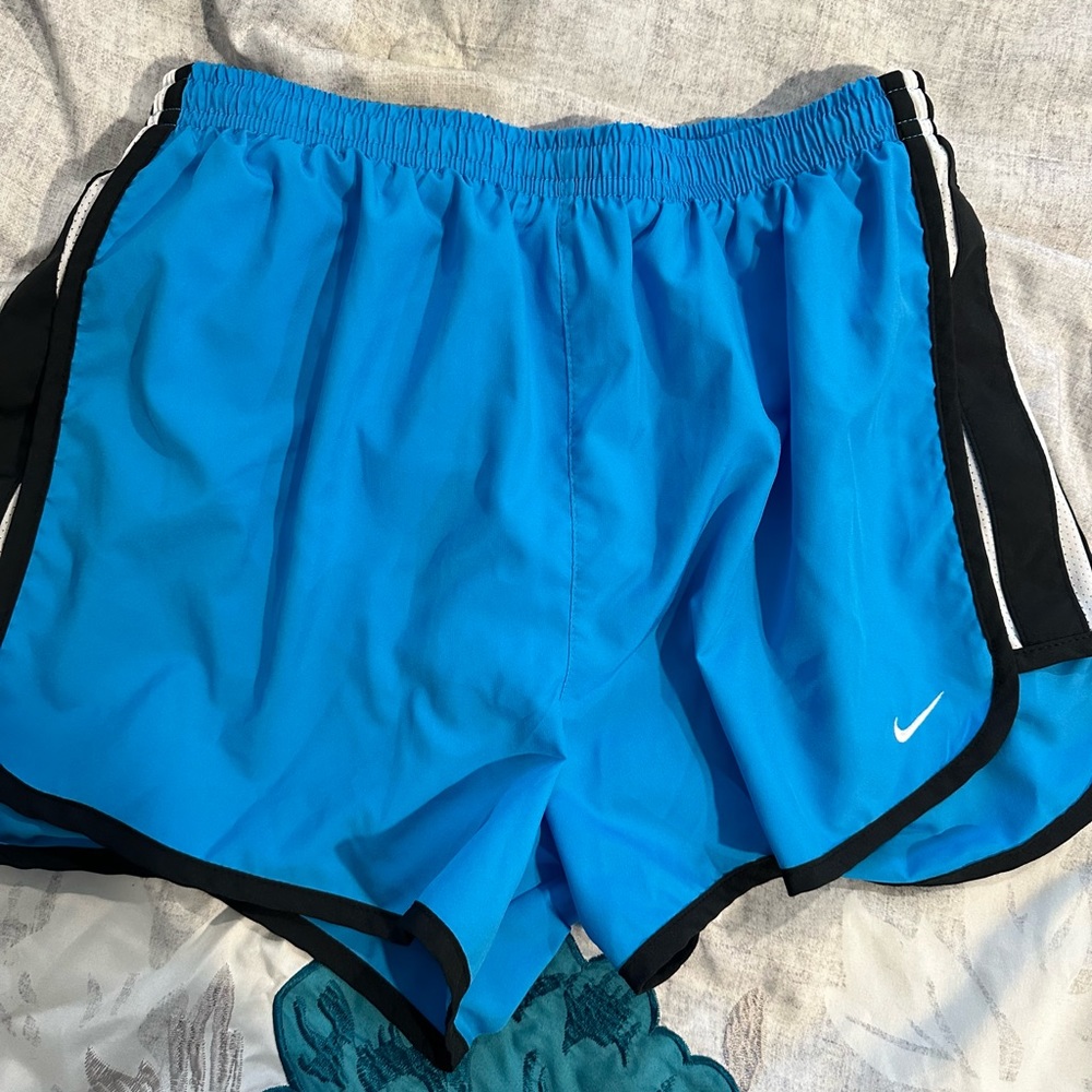 Vintage Nike Blue Shorts